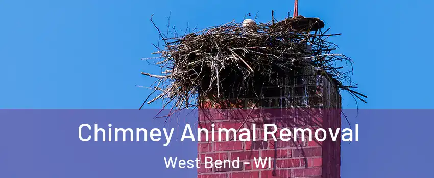 Chimney Animal Removal West Bend - WI