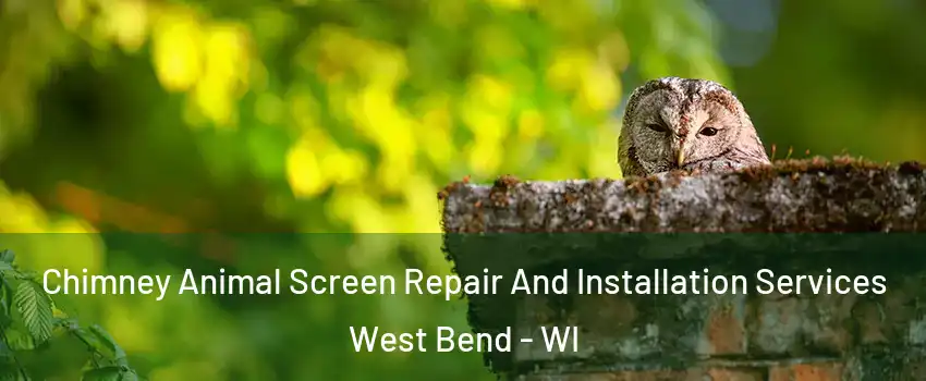  Chimney Animal Screen Repair And Installation Services West Bend - WI
