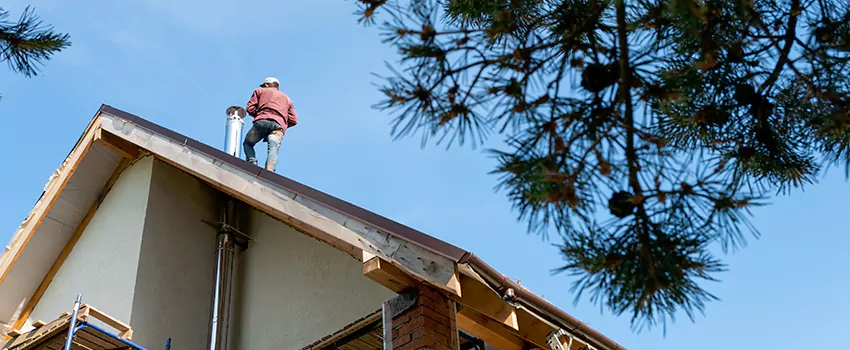 Birds Removal Contractors from Chimney in West Bend, WI