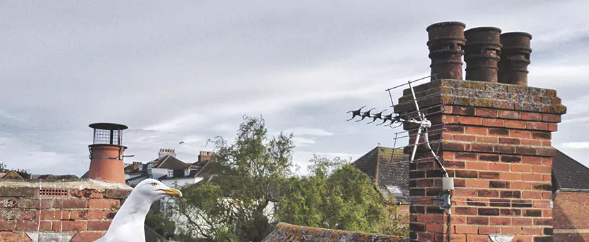 Chimney Cleaning And Restoration in West Bend, Wisconsin